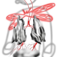 Illustrator Photoshopでこの画像 中央の Yahoo 知恵袋