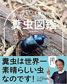 1mmは何mmですか また 1mmは何nmですか Mの意味は１０００ Yahoo 知恵袋