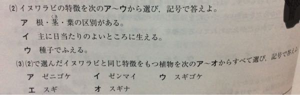 至急 中学1の理科の植物についての問題について問題の意味がわからないで Yahoo 知恵袋