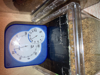 スマトラヒラタを飼育していて温度管理の事でお聞きしたいのですが クーラ Yahoo 知恵袋