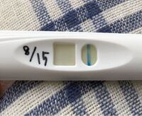 生理予定日前ですが 微熱とムカつきがあったので検査しましたがこれは陰性 Yahoo 知恵袋