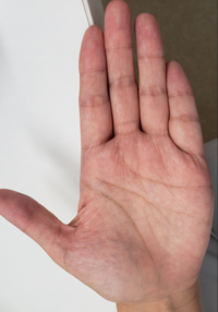 私の手相です 金運と仕事運をみていただきたいです Yahoo 知恵袋