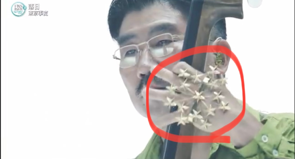 五郎丸のアサヒビールドリームのcmソング アレキサンドロス ワタリ Yahoo 知恵袋