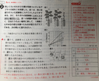 中一です1日で終わってお手軽な理科の自由研究ってありますか Yahoo 知恵袋