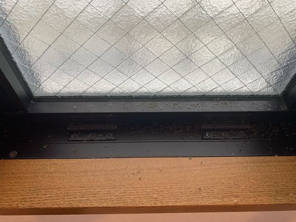 使用済みの除湿剤の捨て方がわかりません 押し入れなどの湿気とり ５００ Yahoo 知恵袋