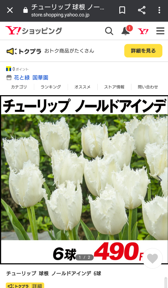 レモングラスを庭に植えたいです 苗を置いている花屋 ホームセン Yahoo 知恵袋