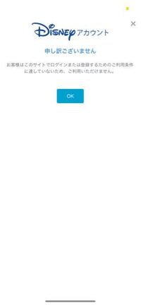 ディズニー公式アプリに登録している年齢とオンラインパークチケットの年齢が異なる Yahoo 知恵袋