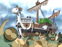 ワンピースのクンフージュゴンの隠れファンとか居ますか 多い方 Yahoo 知恵袋