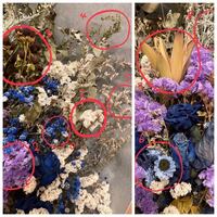 ドライフラワーの花の名前が分かる方はいらっしゃいませんでしょうか Yahoo 知恵袋