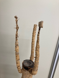 枯れそうな観葉植物を 復活させてあげたいのですが 5年ほど前に 会 Yahoo 知恵袋