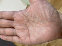 手相占いできる方 総合運金運結婚離婚運健康運子宝運 何人 分かることす Yahoo 知恵袋