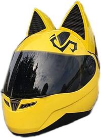今日車を運転していたら すり抜けていったバイクが写真の様なヘ Yahoo 知恵袋