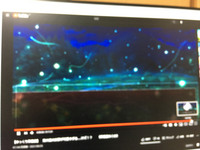 まったりさんの妖夢が男の娘で出てきた 蛍の背景探しているのですが見つか Yahoo 知恵袋