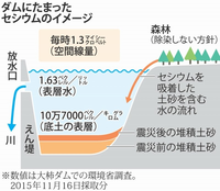 福島原発事故による東京湾の放射能汚染も酷いですが、そこで獲れる水産物も汚染は殆ど無い事にしますか？
↓↓↓↓↓↓↓ https://www.nikkei.com/article/DGXNASDG1304L_T11C13A1CR8000/
日本経済新聞
東京湾河口部にセシウム高濃度地点 近畿大ら分析
2013年11月13日 20:43

東京電力福島第1原子力発電所の事故から1年半以上がたった...