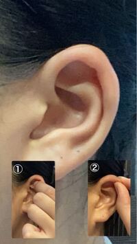 軟骨ピアスの位置が分からないです 写真ありです 軟骨をニードルで Yahoo 知恵袋