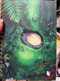 となりのトトロの小さい仲間の名前は ジブリの となりの Yahoo 知恵袋