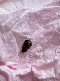 質問です 鉄筋コンクリート造りの賃貸に引っ越す予定で今現在準 Yahoo 知恵袋