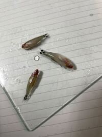 昨日まで元気だったお魚が突然3匹も死んでしまいました 原 Yahoo 知恵袋