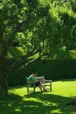 【竹原】です。 ・「拇」 という漢字は、「つが」と読むのですか？ そう自信満々で得意げに断言している人がいました。 いくらなんでも、違うでしょう？ ㅤ ㅤ