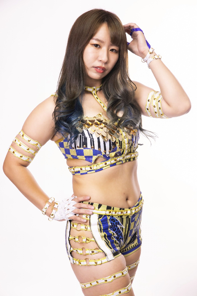 ヒクソン グレイシーはジャイアント馬場さんよりも強かったですか ヒクソン Yahoo 知恵袋