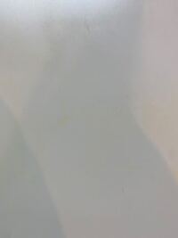 至急回答お願いします 花についてです 多分ユリの花だと Yahoo 知恵袋