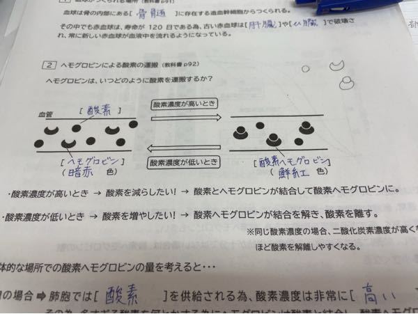 生物基礎について質問です 学校の授業でヘモグロビンについて習った Yahoo 知恵袋