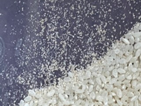 お米について米びつを開けたら米びつの角にお米と写真の粉のような物が固ま Yahoo 知恵袋