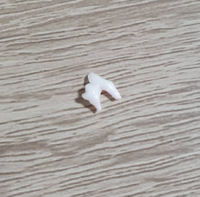 11ヶ月の犬とぬいぐるみの引っ張り合いの遊びをしていたところパキッと音 Yahoo 知恵袋