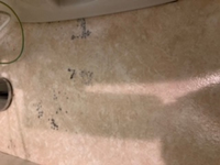 トイレの床に黒いものが急に現れ 触るとボコボコしてます カビ Yahoo 知恵袋