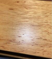 謎の虫について ニトリで買ったカラーボックス 木製 にとても小さな白かク Yahoo 知恵袋