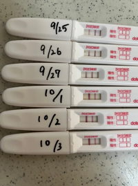 タイミング行為9 5 9 6 9 7 9 14妊娠検査 Yahoo 知恵袋