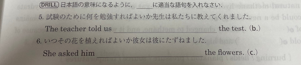 Tattooで言葉を入れたいと思っています 英語で入れようとおもっ Yahoo 知恵袋