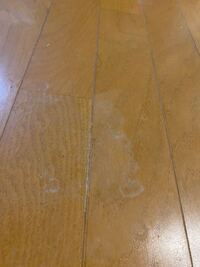 うさぎさんのうんちの そうじ 家で放し飼いにしてるのですが 帰り Yahoo 知恵袋