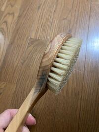 ボディブラシを浴室に忘れてしまい カビが生えてしまったよ Yahoo 知恵袋