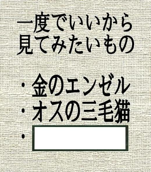 面白いダジャレ教えてください Yahoo 知恵袋