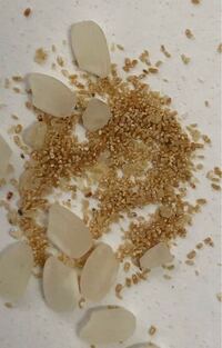 お米に混じってる茶色い粒 米袋に保管していたお米にノ Yahoo 知恵袋