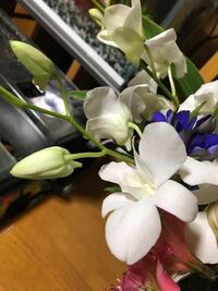 アレンジフラワーを頂きました この花の名前を教えて下さいよろ Yahoo 知恵袋