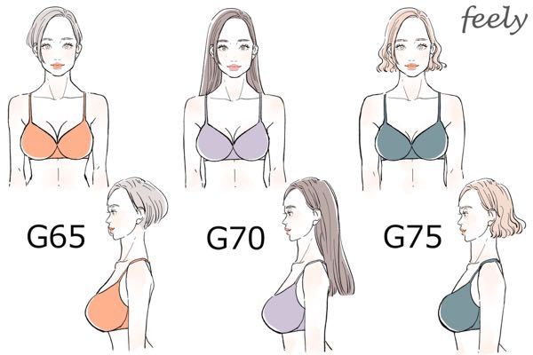 ブラサイズg65の皆さん 見た目こんな感じですか わたしはg65 Yahoo 知恵袋