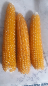 教えてください この 乾燥した とうもろこし いただ Yahoo 知恵袋