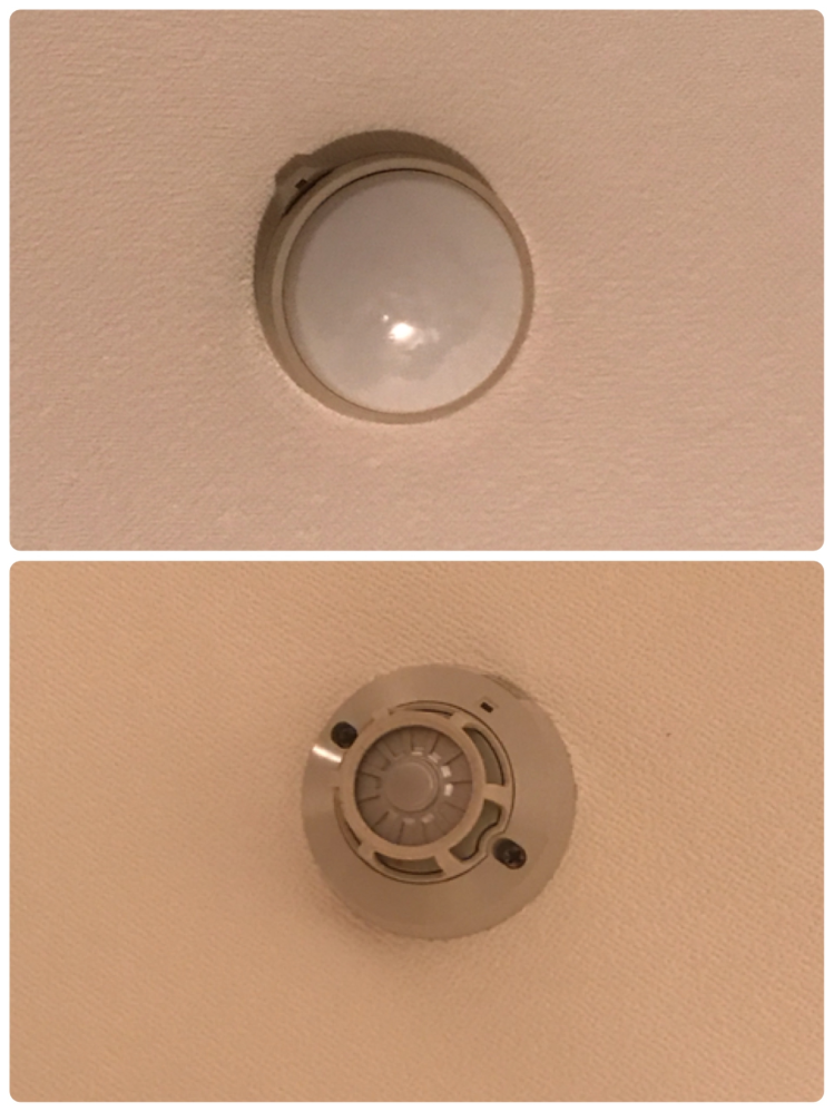 ゴキブリの赤ちゃんを見かけたのでバルサンを炊こうと思うのです Yahoo 知恵袋