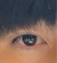 高校男子です 薄い一重ですが最近二重になりかけてます そこで写真 Yahoo 知恵袋