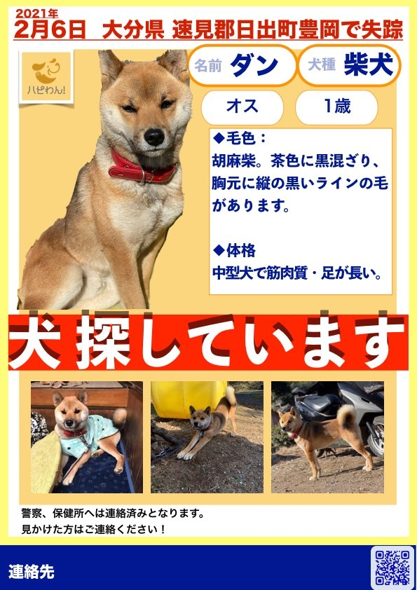 迷子犬を9ヶ月探してます チラシを持ち訪ね歩く チラシの地域 Yahoo 知恵袋