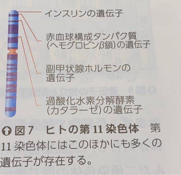 高校生物に関する質問です 大学受験をする上で添付した画像は覚 Yahoo 知恵袋