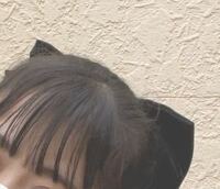 この子がつけてるような頭から見えるぐらいの大きいリボンってど Yahoo 知恵袋
