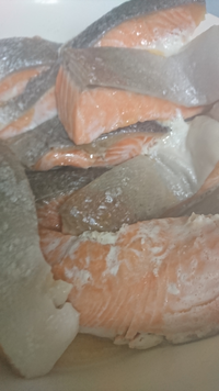 トラウトサーモンです 食いすぎですか Yahoo 知恵袋