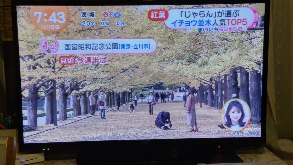 めざましテレビで昭和記念公園のイチョウの紅葉が特集されていたんですが、こちらは昭和記念公園のどの