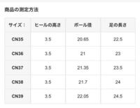 靴のサイズの 35 って何センチですか 女性物です 靴のサイズの 3 Yahoo 知恵袋