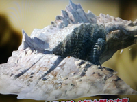 モンハンの質問ですジエンモーランとダレンモーランどっちが好き Yahoo 知恵袋