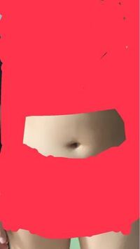 女です へそがたてになりません 鍛えたり糖質を制限したりしています 体脂 Yahoo 知恵袋