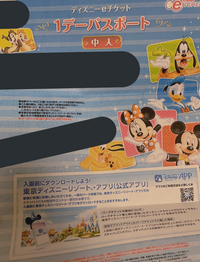 今度ディズニーシーへ友達と行くのですが ディズニーへは下の画像の紙チケ Yahoo 知恵袋